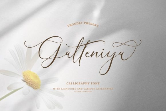 Galteniya: A Luxurious Script Font for Editorial Elegance