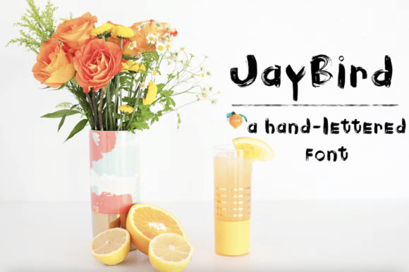 Jaybird Font: Adding Editorial Charm to Layouts