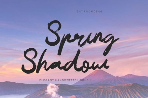 Spring Shadow Font: Elevating Small Business Branding